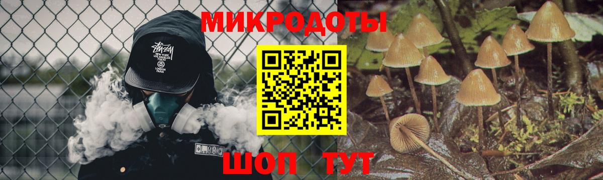 Курган  Галлюциногенные грибы Psilocybe  Вход с VPN 
